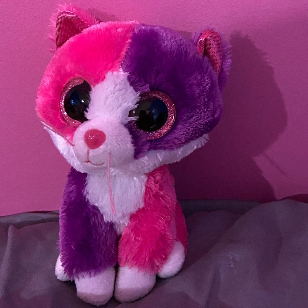 Cat beanie boo.